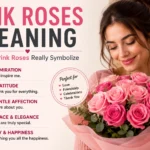 Pink Roses Meaning: Symbolism, Shades & When to Give Them