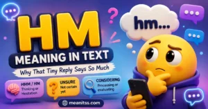 Thinking emoji character holding a phone beside “HM Meaning in Text,” explaining HM/HMM as hesitation, uncertainty, and considering a response.