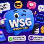 WSG Meaning in Text: What Does WSG Mean?